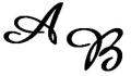 font Amzzone BT (initials)